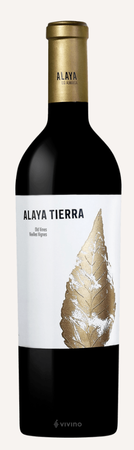 Atalaya Alaya Tierra Grenache Red Wine Spain 2022 750