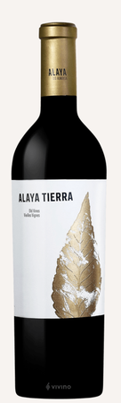 Atalaya Alaya Tierra Garnacha Tintorera Red Wine Almansa Spain 2020 750